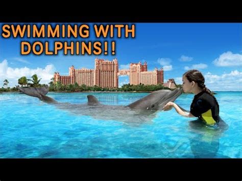 Swimming With Dolphins at Atlantis The Palm Dubai - Dubai Vlog - YouTube