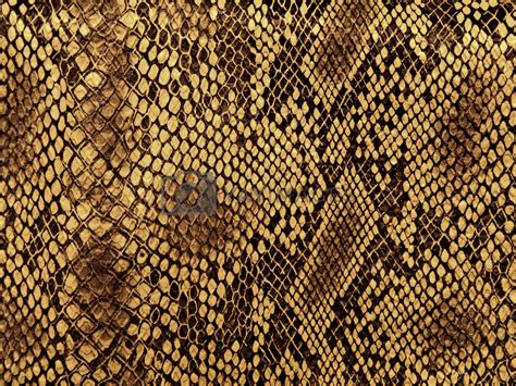 Royalty Free Image | snake skin pattern by SNR