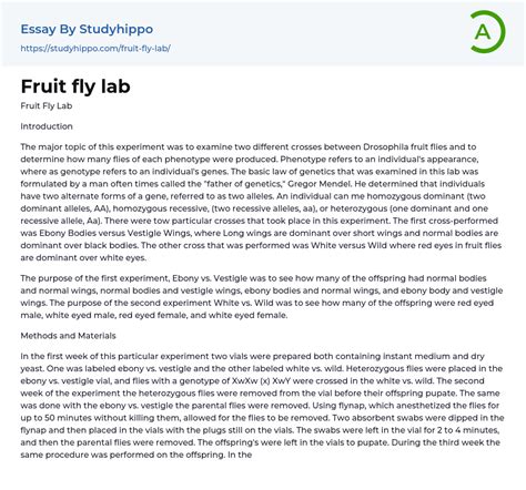 Fruit fly lab Essay Example | StudyHippo.com