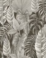 Amazon Luxe Palms Black & White Australian Made Wallpaper Online. – Olive et Oriel