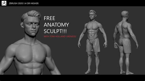 ArtStation - Tom Holland Anatomy Sketch | Resources