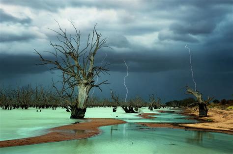 Menindee Lakes Photograph by Julie Fletcher | Fine Art America