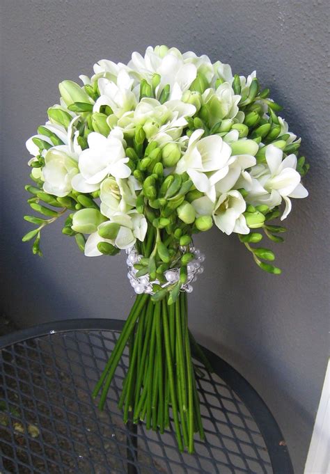 White freesia bouquet | Freesia flowers, Freesia bouquet, White wedding bouquets