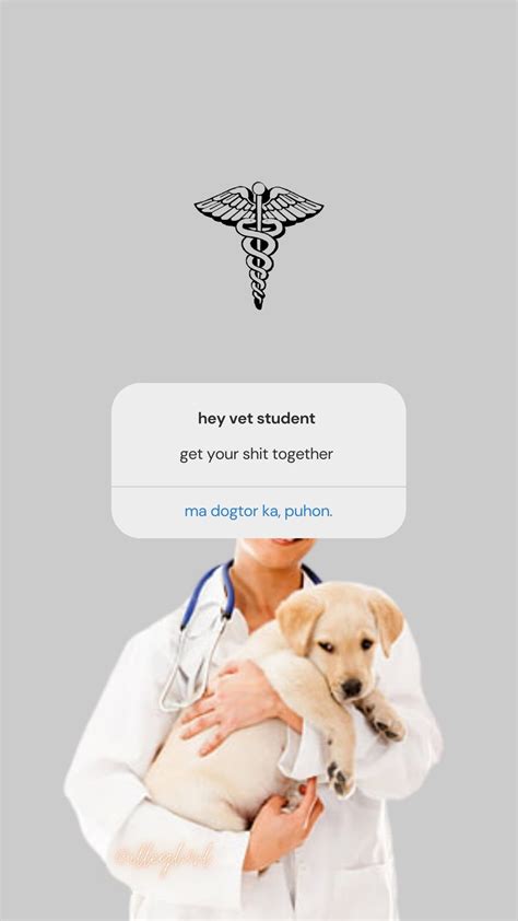 Veterinary Student Wallpaper | Vet medicine, Vet school motivation, Vet student