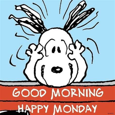 “Good Morning...Happy Monday everyone" | Snoopy love, Good morning snoopy, Snoopy images