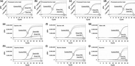 Triplex real‐time PCR amplification plots for the identification of DNA ...