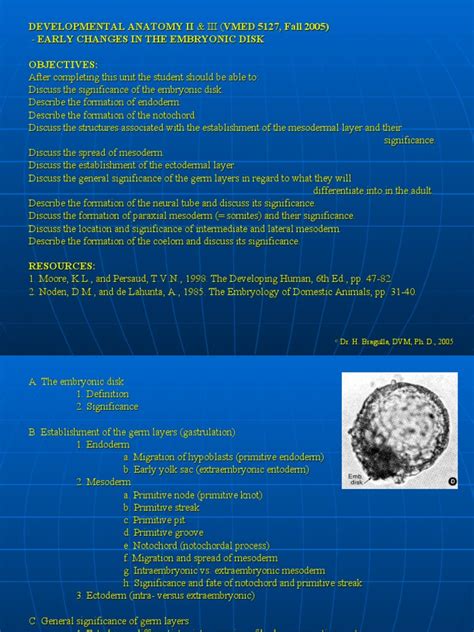 2 - Early Changes in the Embryonic Disk | Nervous System | Biological ...