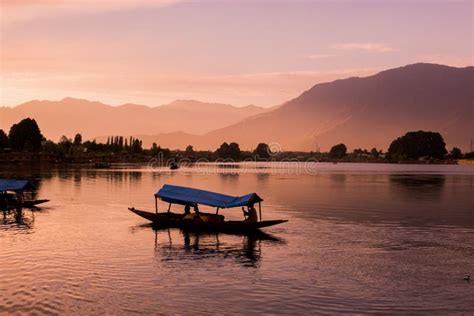 Shikara Boats on Dal Lake with Sunset Dal Lake in Srinagar Jammu and ...