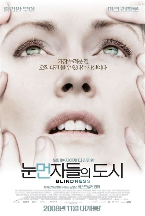 Blindness (2008) - Posters — The Movie Database (TMDB)