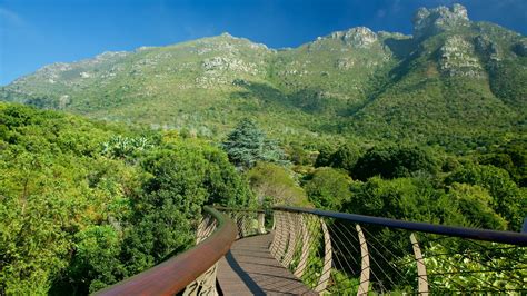 Hotels nahe Kirstenbosch National Botanical Gardens, Kapstadt | Hotels Expedia.de