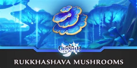 Genshin Impact Rukkhashava Mushrooms : farm guide