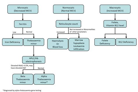 Clinical Practice Guidelines : Anaemia