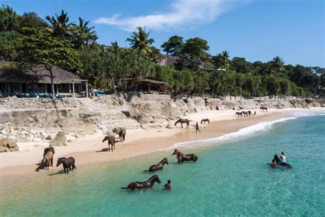 14 Things to Do in Sumba Island That Is Unforgettable