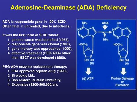 PPT - Adenosine-Deaminase (ADA) Deficiency PowerPoint Presentation - ID:147812