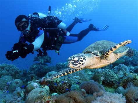 Chuuk Lagoon, Micronesia: A Wreck Diver's Dream Destination - DeeperBlue.com