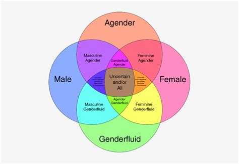 Gender Id Chart - Gender Spectrum Explained - Free Transparent PNG Download - PNGkey