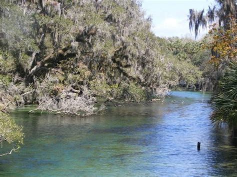 THE 15 BEST Things to Do in DeLand - UPDATED 2020 - Must See Attractions in DeLand, FL | TripAdvisor