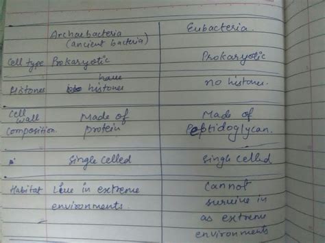 What Are The Differences Between Eubacteria And