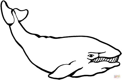 Whale coloring page | Free Printable Coloring Pages