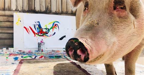 Pigcasso the Painting Pig | POPSUGAR Pets