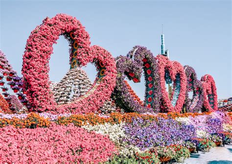 Dubai Miracle Garden