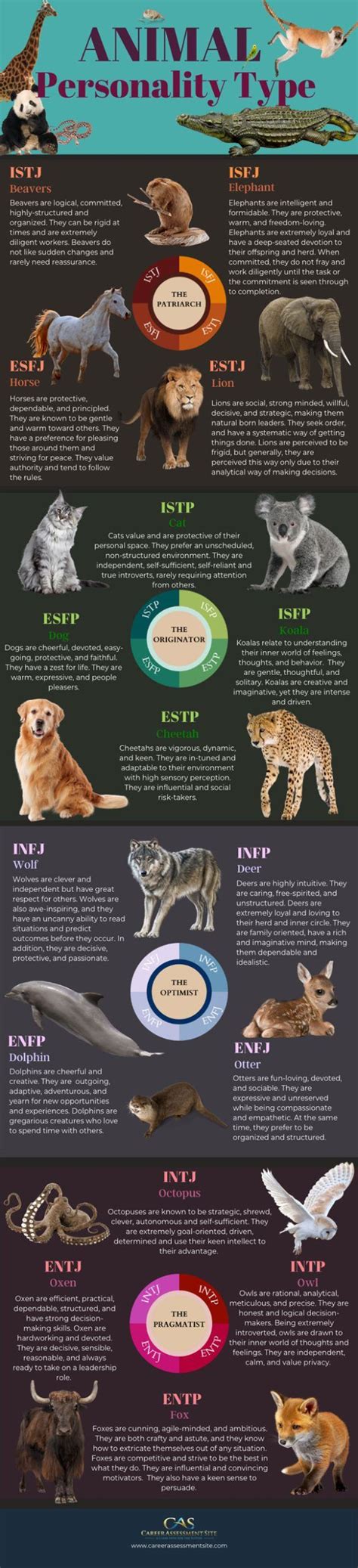 Animal Personality Types [Infographic] in 2023 | Personality types ...