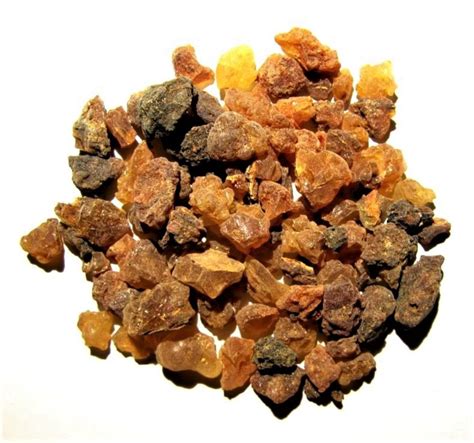 Frankincense, Myrrh, and Amber: Tree Resin Facts and Uses - Owlcation