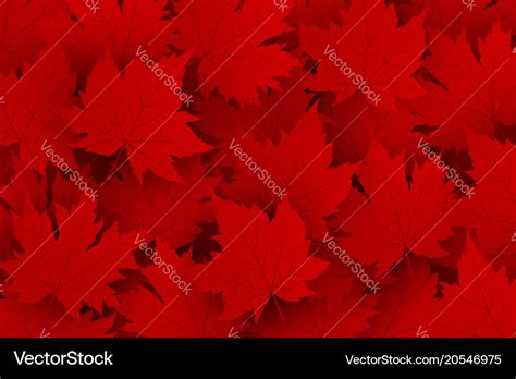 Canada day design of red maple leaves background Vector Image