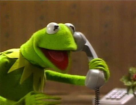 Kermit: Meme Template