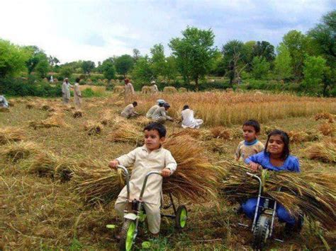 Pakistan Village Life - All About Pakistan