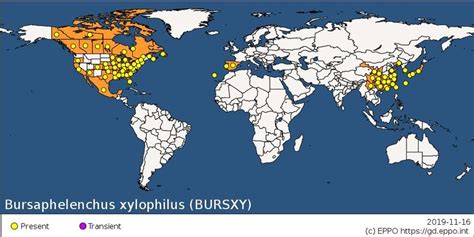 Global distribution of Bursaphelenchus xylophilus (Source: EPPO Global... | Download Scientific ...