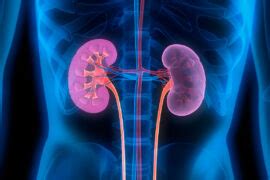 18 Effective Home Remedies for Kidney Infection - Naturally Daily