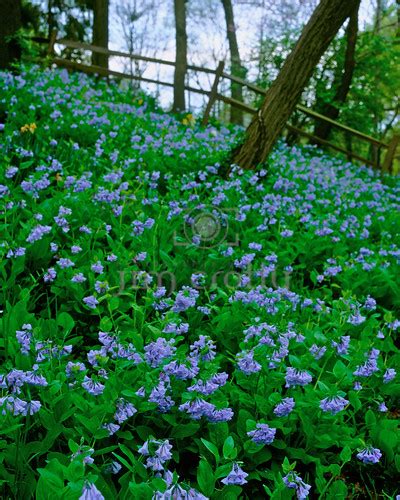 Best Ohio Nature Photography by Jim Crotty 4 | Fine art natu… | Flickr