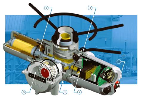 Rotork Motor Operated Valve Basic Configuration