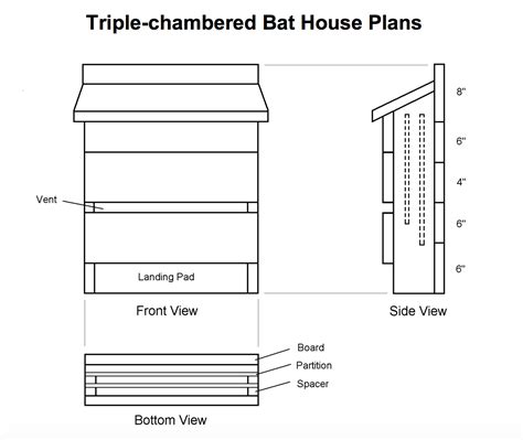 Bat House Dimensions Plans: A Guide For Beginners - House Plans