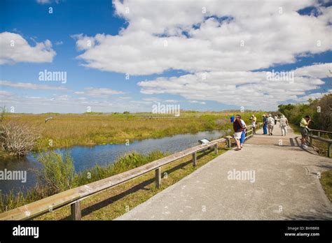 Anhinga Trail in the Everglades National Park in Florida Stock Photo ...