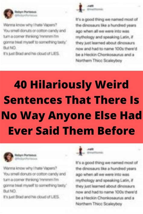 40 hilariously weird sentences that there is no way anyone else had ever said them before – Artofit