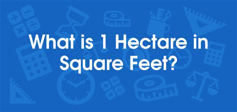 What is 1 Hectares in Square Feet? Convert 1 ha to ft2