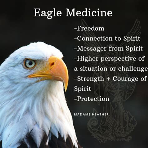 Eagle Spirit Animal | Animal spirit guides, Spirit animal meaning ...