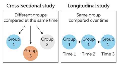 Cross sectional design | Chegg Writing