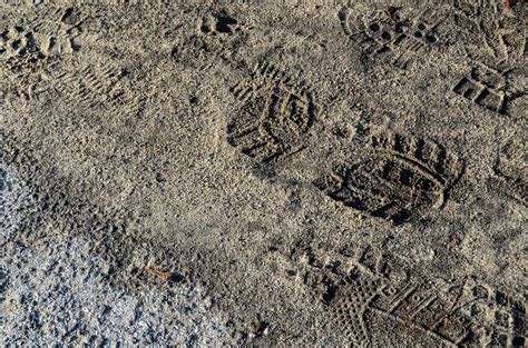 Track,mud,the background,earth,free pictures - free image from needpix.com