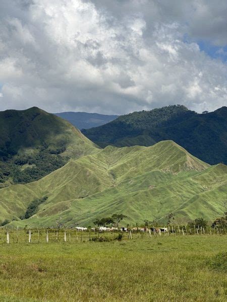 How to Go to Communal Ranch, Bukidnon: A DIY Travel Guide