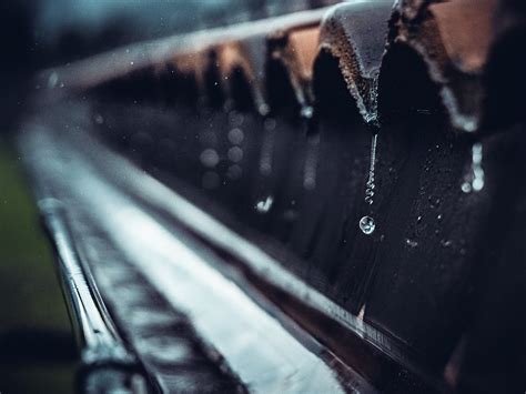 Through The Drops: 30 Magnificent Rain & Monsoon Photos For Your ...