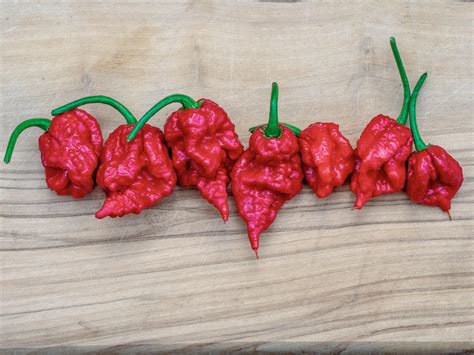 Carolina Reaper Guide: Heat, Flavor, Uses - PepperScale