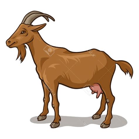 Download High Quality goat clip art Transparent PNG Images - Art Prim clip arts 2019