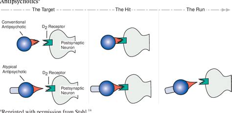 [PDF] Describing an Atypical Antipsychotic: Receptor Binding and Its Role in Pathophysiology ...