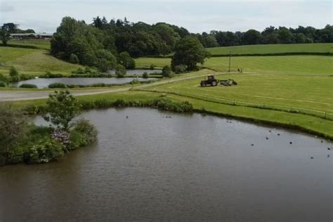 Goose Green Farm, Macclesfield | Fishery Guide