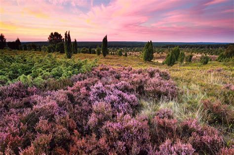 Niedersachsen Urlaub Tipps | deutschlandLiebe by Urlaubsguru