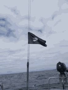 Animated Pirate Flag