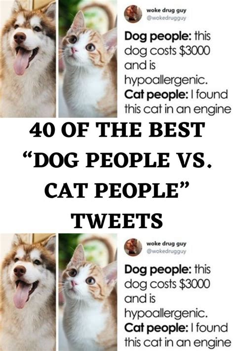 40 Of The Best “Dog People Vs. Cat People” Tweets | Cat people, Dog people, Funny people